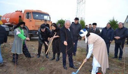 Füzuli icra başçısından ağacəkmə kampaniyasına qeyri-ciddi yanaşma:“Nəsimi“yə musiqi sədaları altında ağac əkdirdi