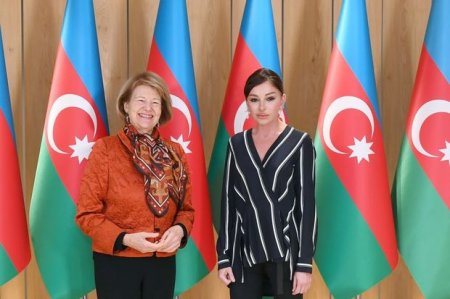 Mehriban Əliyeva Böyük Britaniya Baş nazirinin Azərbaycan üzrə ticarət elçisi ilə görüşüb - FOTO