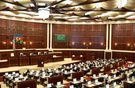 Parlament kənd adının dəyişdirilməsi ilə bağlı icra hakimiyyətindən təklif gözləyir