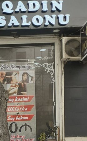 Müxalifətçi jurnalist saxtakarları müdafiə edir - FOTO