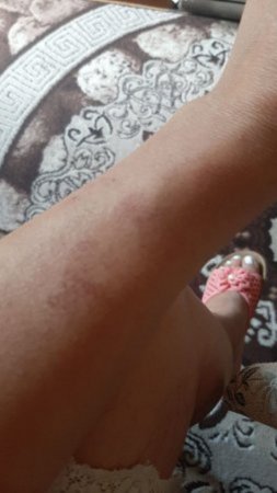 Müxalifətçi jurnalist saxtakarları müdafiə edir - FOTO