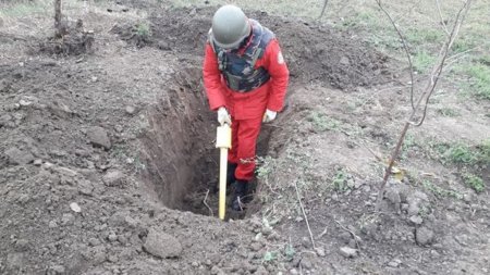 ANAMA cəbhə boyu keçirdiyi əməliyyat zamanı 178 ədəd hərbi sursat aşkarlayıb - FOTO