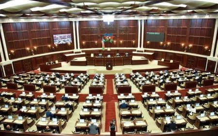 Milli Məclis “Şərti maliyyə vahidi haqqında” qanunun ləğv edilməsini təsdiqlədi