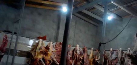 10 ton ölmüş heyvan əti satan şəxslər saxlanılıb - FOTO - VİDEO