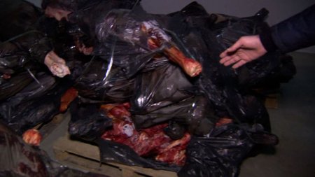 10 ton ölmüş heyvan əti satan şəxslər saxlanılıb - FOTO - VİDEO