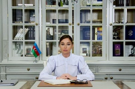 Milli Məclisin sədri Mehriban Əliyevanı təbrik etdi
