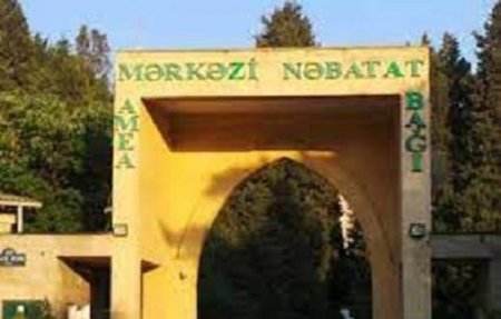 Mərkəzi Nəbatat Bağında YEYİNTİ İTTİHAMI