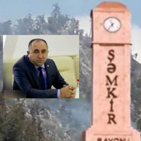 Meşədən QAZANILAN MİLYONLAR... - VİDEO