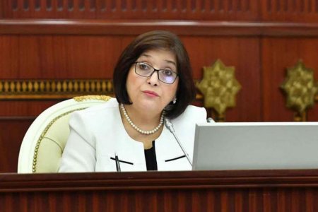 Sahibə Qafarova Vyanada Azərbaycanın pandemiya ilə mübarizəsindən danışdı