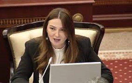Qənirə Paşayevadan Ramiz Mehdiyevə:“Buna görə üzr istəməlisən”