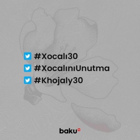 “Twitter”də “Xocalı30” həştəq kampaniyası - FOTO