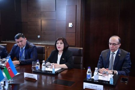 Milli Məclisin sədri: “Ermənistan ordusunun qalıqları Azərbaycan ərazilərindən tam olaraq çıxarılmalıdır”