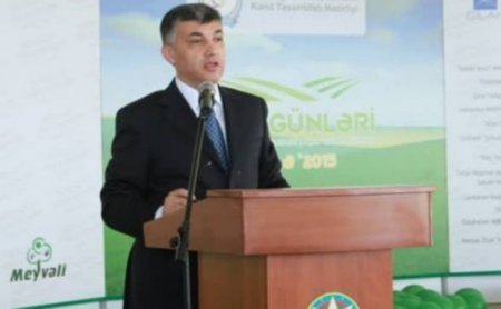 Gömrüyün “monopoliya əfsanəsi” ORTALARDA GÖRÜNMÜR...