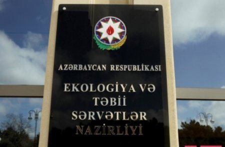 Qəbələdə meşə fonduna aid torpaqları əvvəl satırlar, sonra da cərimə yazırlar
