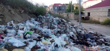 Abdin Fərzəliyev büdcə talançılığına qol qoyan şəxslərə “yaşıl işıq” yandırır- FOTO