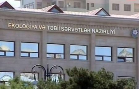 Bakının göbəyində YAŞILLIQLAR MƏHV OLUNUR - FOTO - VİDEOLAR