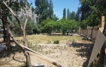 Bakının göbəyində YAŞILLIQLAR MƏHV OLUNUR - FOTO - VİDEOLAR