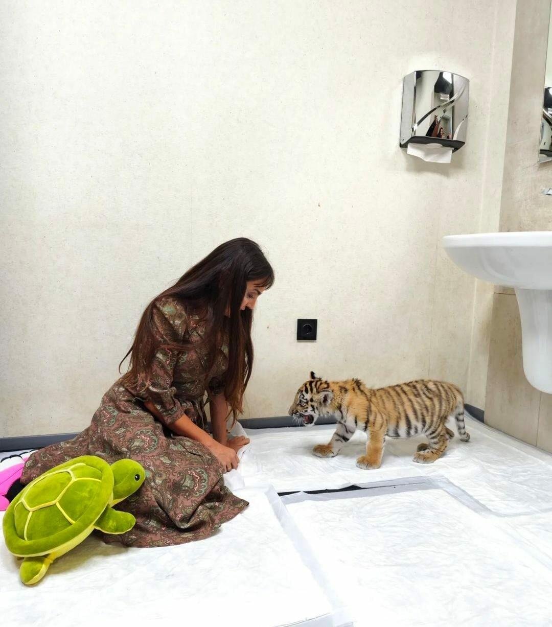 Leyla Əliyeva Bakı Zooloji Parkında olub - FOTO