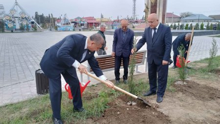 Şirvanda Zəfər Günü münasibətilə ağacəkmə aksiyası keçirildi