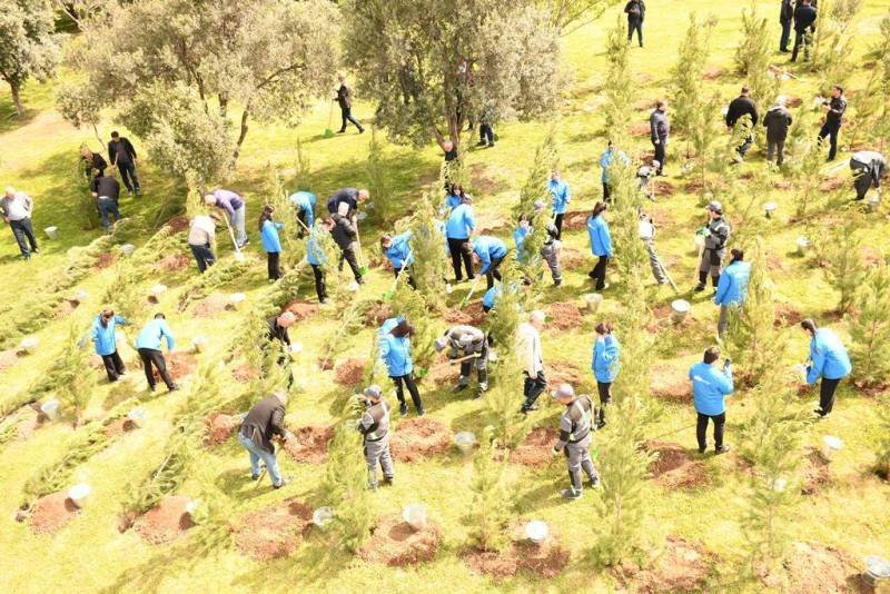 Paytaxtda növbəti ağacəkmə aksiyası keçirilib