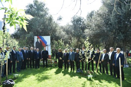 Nəsimidə ağacəkmə aksiyası keçirildi