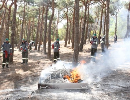 Mərkəzi Nəbatat Bağında təlim keçirildi 