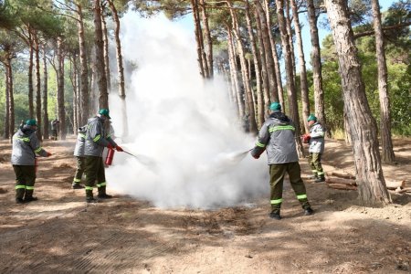 Mərkəzi Nəbatat Bağında təlim keçirildi 