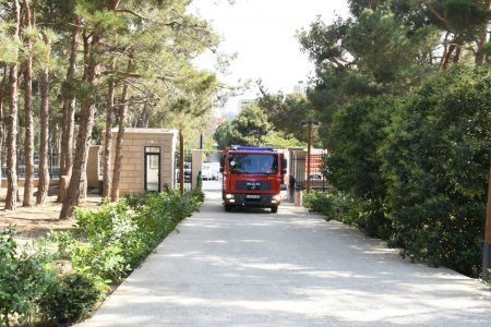 Mərkəzi Nəbatat Bağında təlim keçirildi 