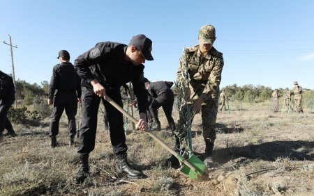 Zəfər Günü ilə əlaqədar DİN əməkdaşları ağacəkmə kampaniyası keçirdi.